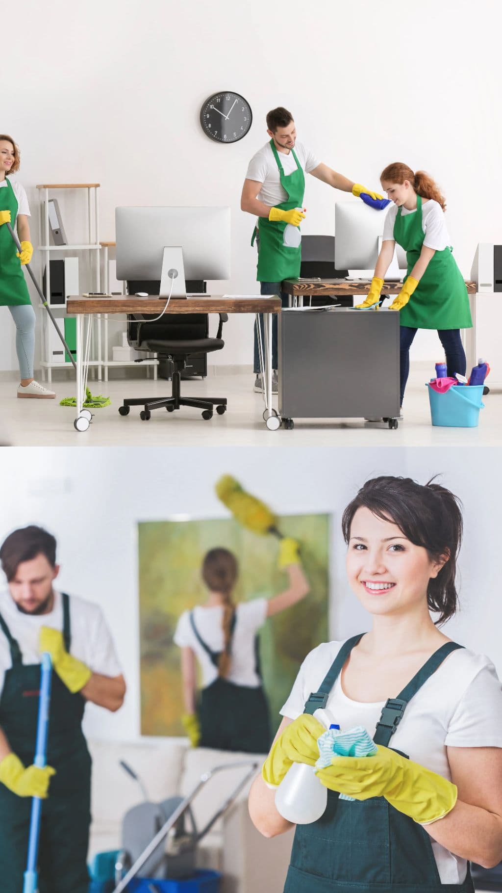 Professional cleaning service